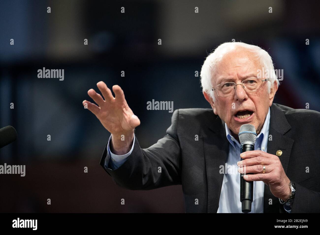 El candidato presidencial demócrata Bernie Sanders en un mitin de campaña en el Wofford College en Carolina del Sur. Foto de stock