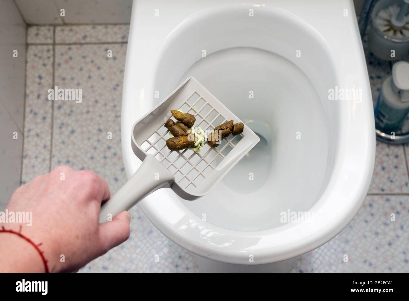 una mano con una cuchara tirando una caca de mascota en un baño Fotografía  de stock - Alamy