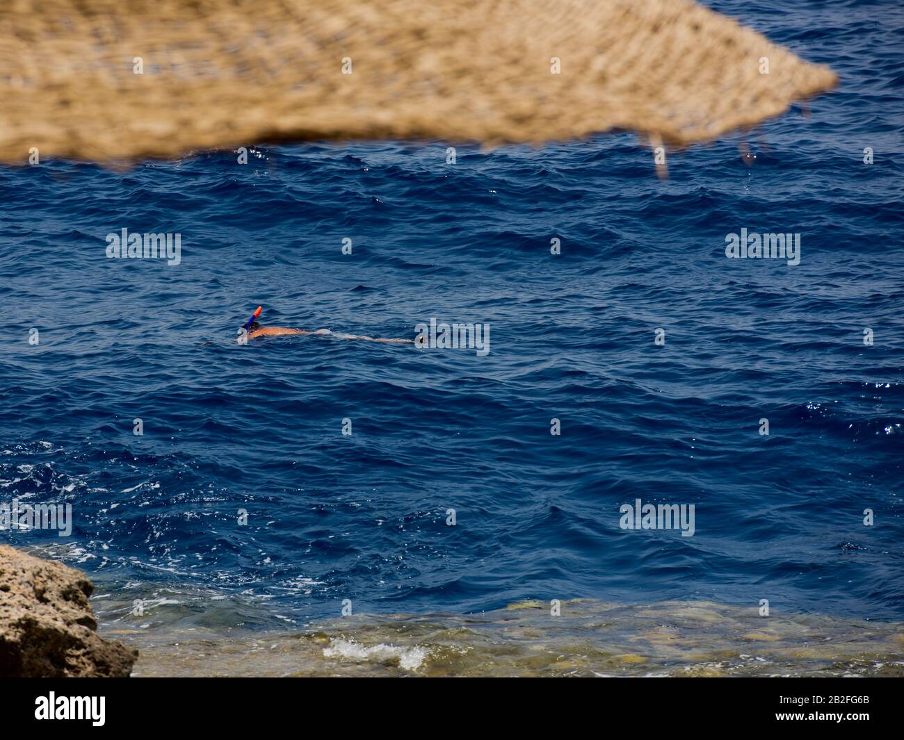 Hombre snorkeling y buceo en el Mar Rojo. Foto de stock