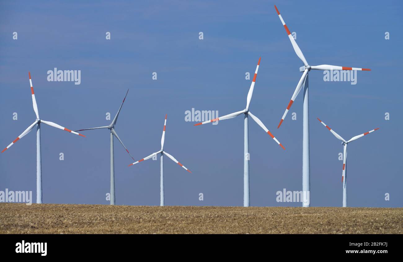 Windenergiefeld, Magdeburger Boerde, Sajonia-Anhalt, Alemania Foto de stock
