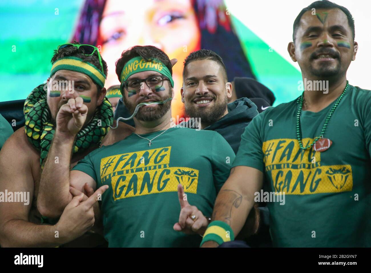 Los fans de Tampa Bay Vipers durante un partido de fútbol XFL contra los DC Defenders, el domingo 1 de marzo de 2020, en Tampa, Florida, EE.UU. (Foto de IOS/Espa-Images) Foto de stock