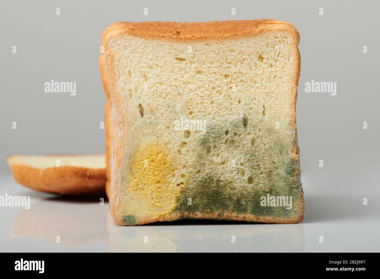 Molde en pan cortado con bacterias dañinas aisladas sobre fondo gris Foto de stock