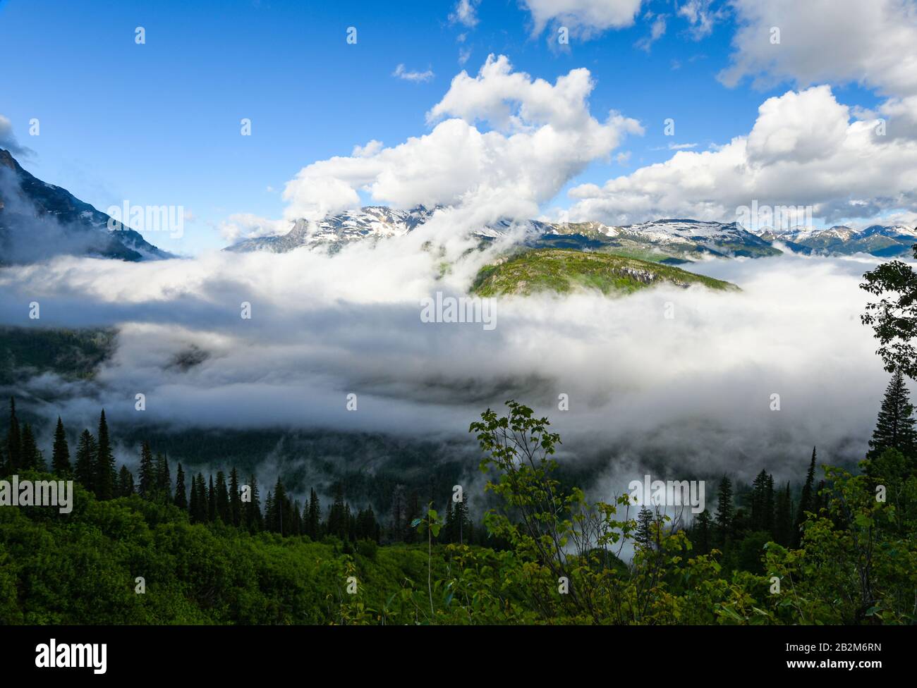 Nube baja iluminada por el sol, colgando sobre un valle en el Parque Nacional Glacier con bosques y picos montañosos distantes Foto de stock