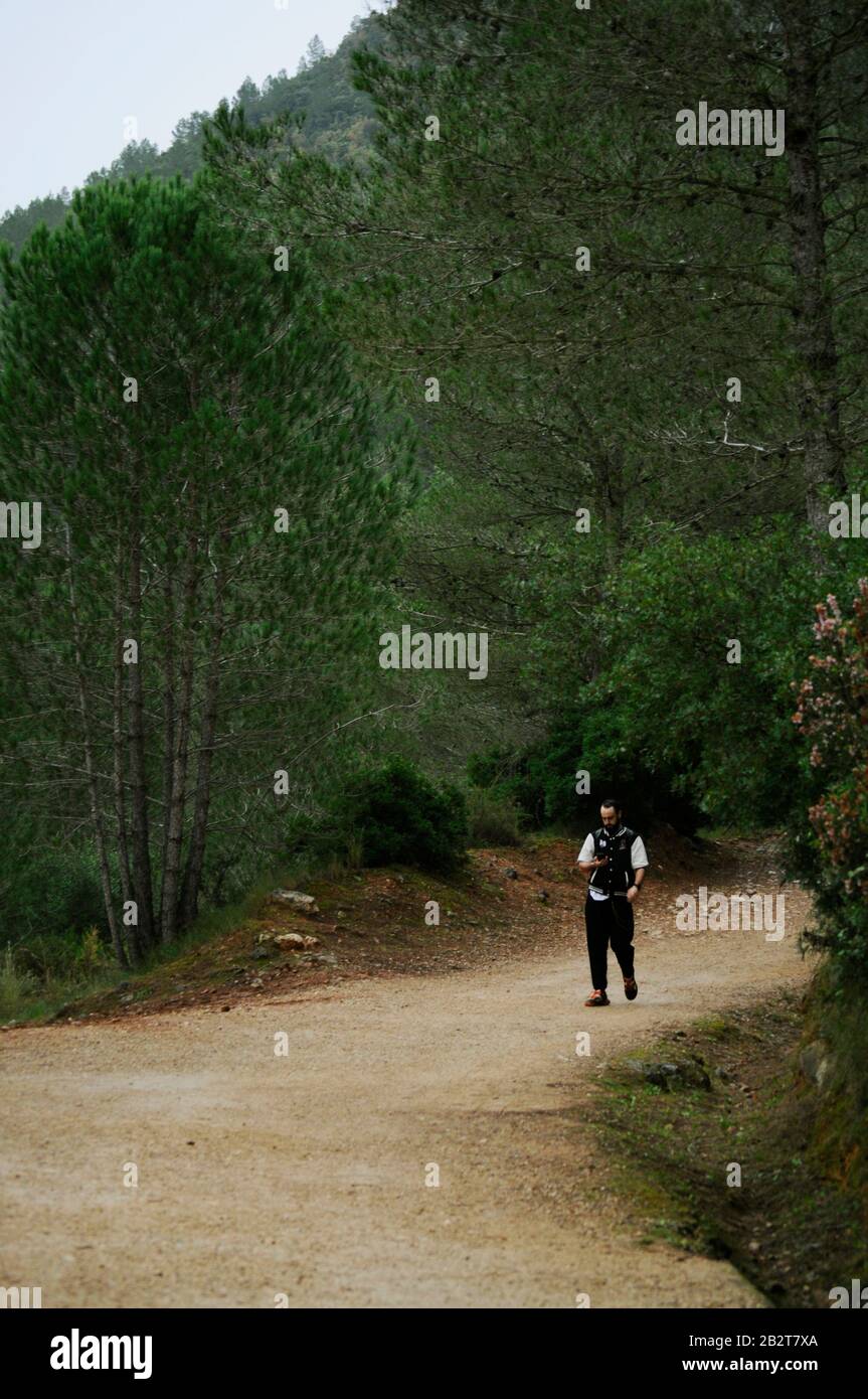 Hombre caminando en un camino de tierra en el medio del bosque/ Imágenes  abstractas para portadas de libros Fotografía de stock - Alamy