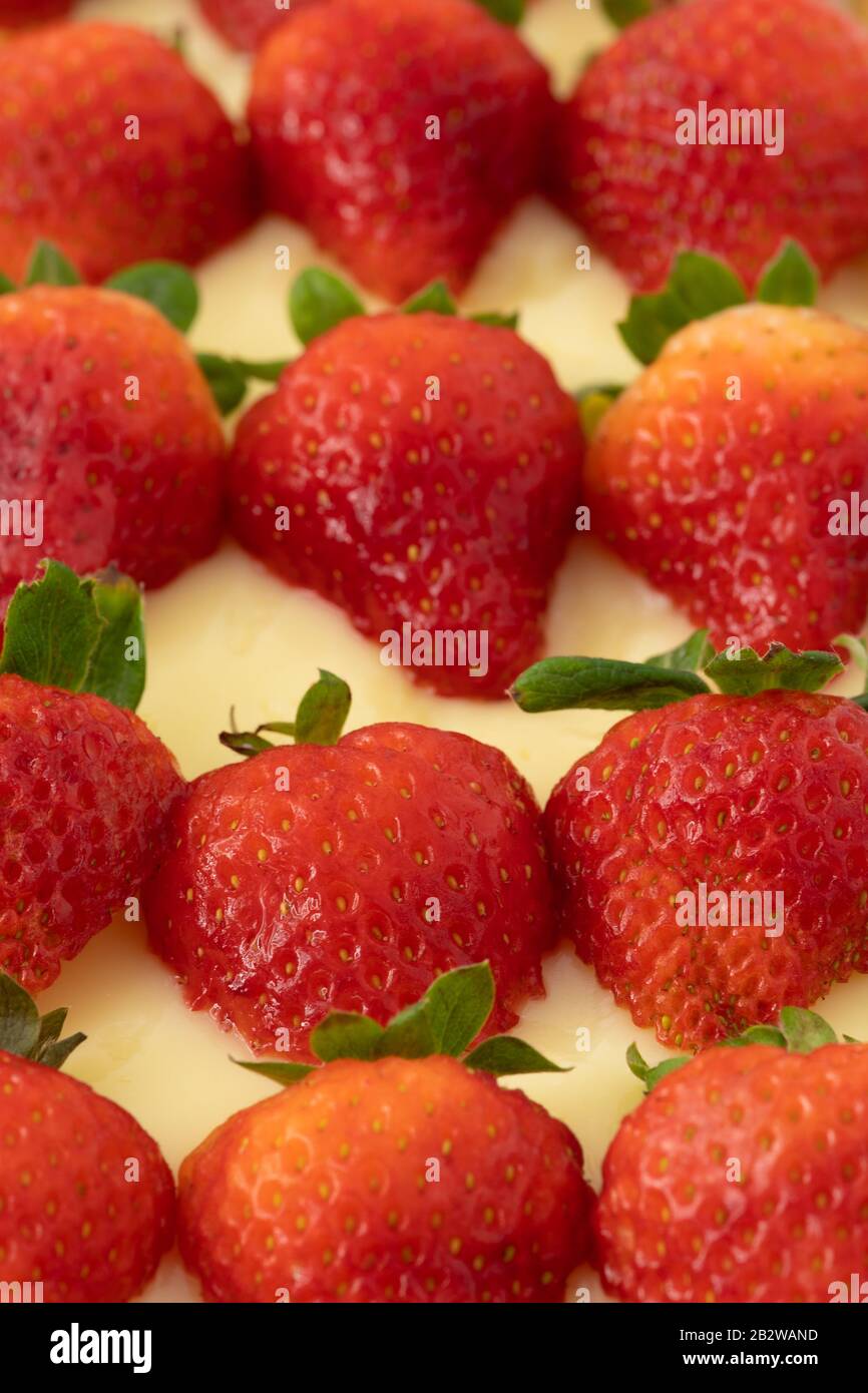 Tarta de fruta de fresa con fresas rojas frescas y una crema y una