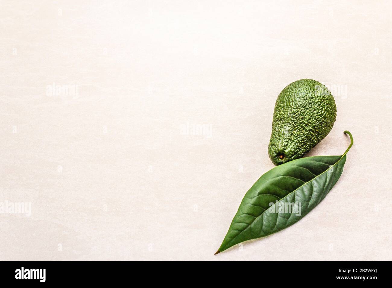 Hoja de aguacate y aguacate. Cocinar fondo. En la superficie de la
