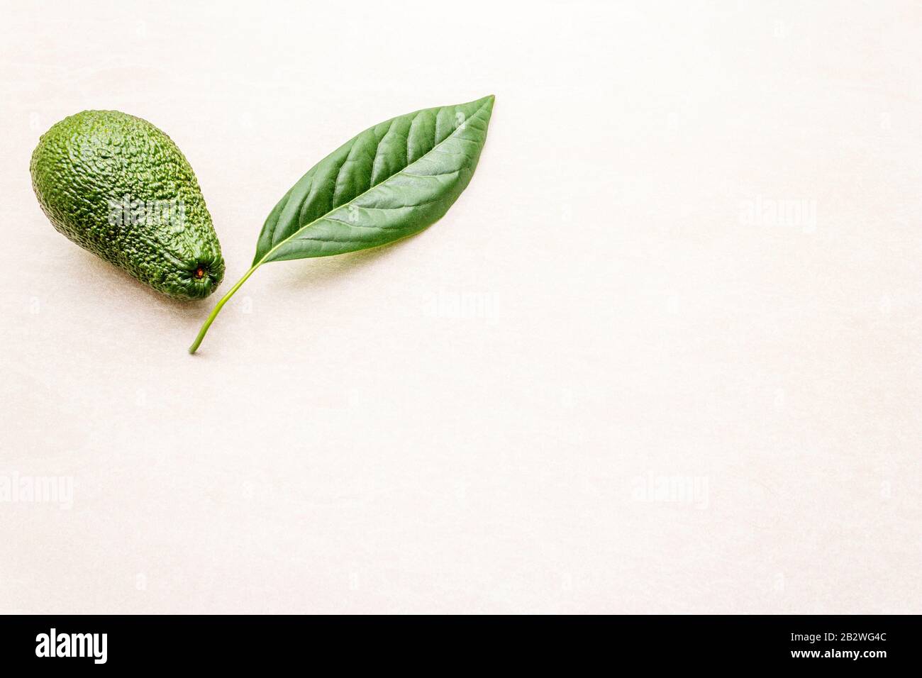 Hoja de aguacate y aguacate. Cocinar fondo. En la superficie de la