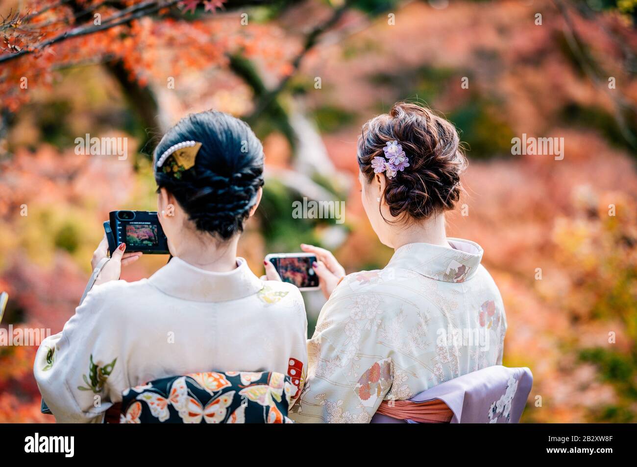 Las mujeres jóvenes que visten el tradicional kimono japonés con coloridos árboles de arce en otoño son famosas en hojas de color otoñal y flores de cerezo en primavera, Ky Foto de stock
