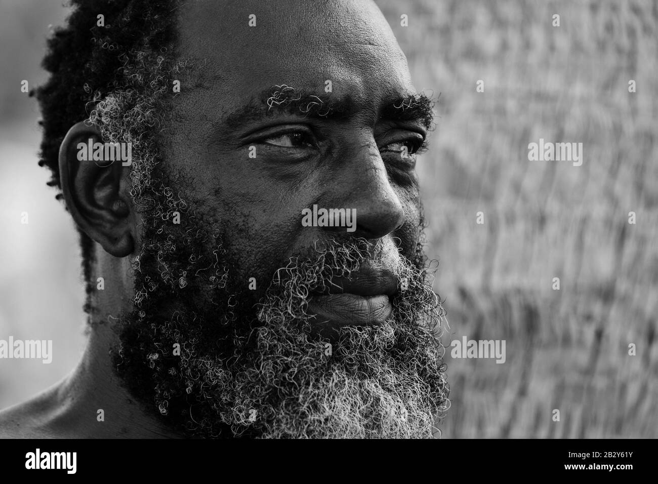 DYH5TX HOMBRE MAYOR AFROAMERICANO CON UNA EXPRESIÓN PODEROSA EN SUS OJOS Foto de stock