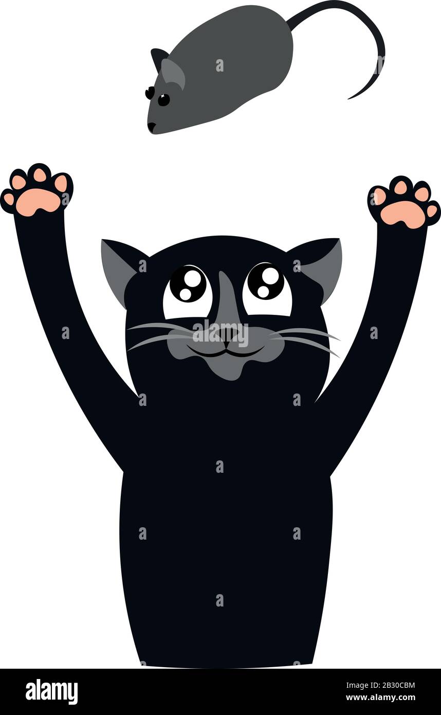 Un gato negro está jugando con un ratón. Depredador. Diseño para tienda de mascotas, clínica veterinaria y refugio. Ilustración del Vector