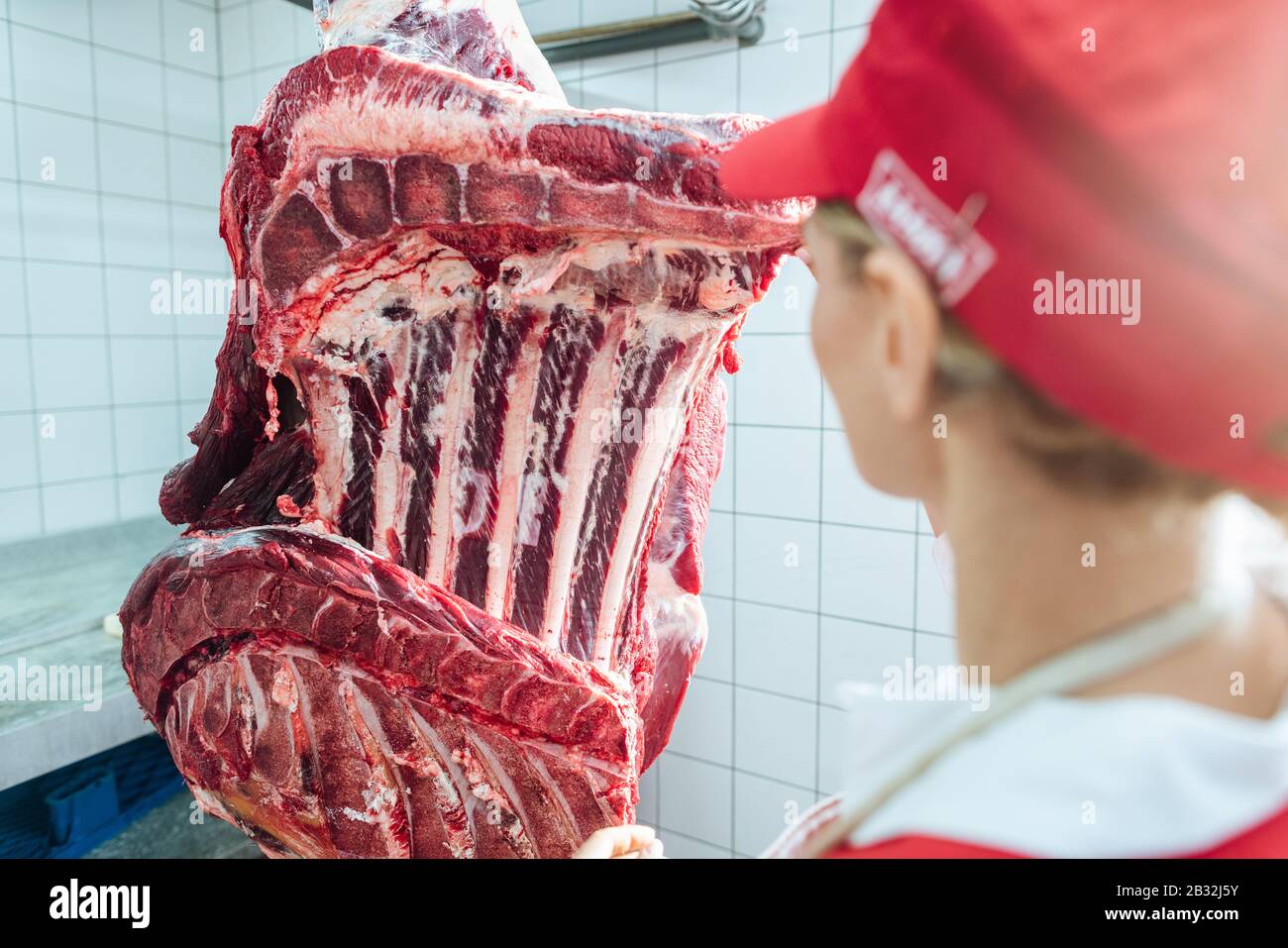 Carnicero mujer inspeccionando el pedazo de carne a procesar Foto de stock