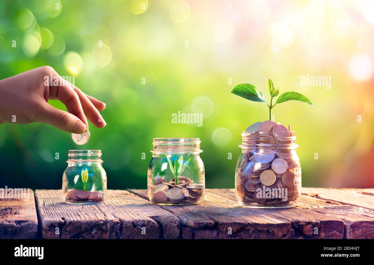 Concepto de ahorro de dinero e inversión plantas creciendo en jarras Foto de stock