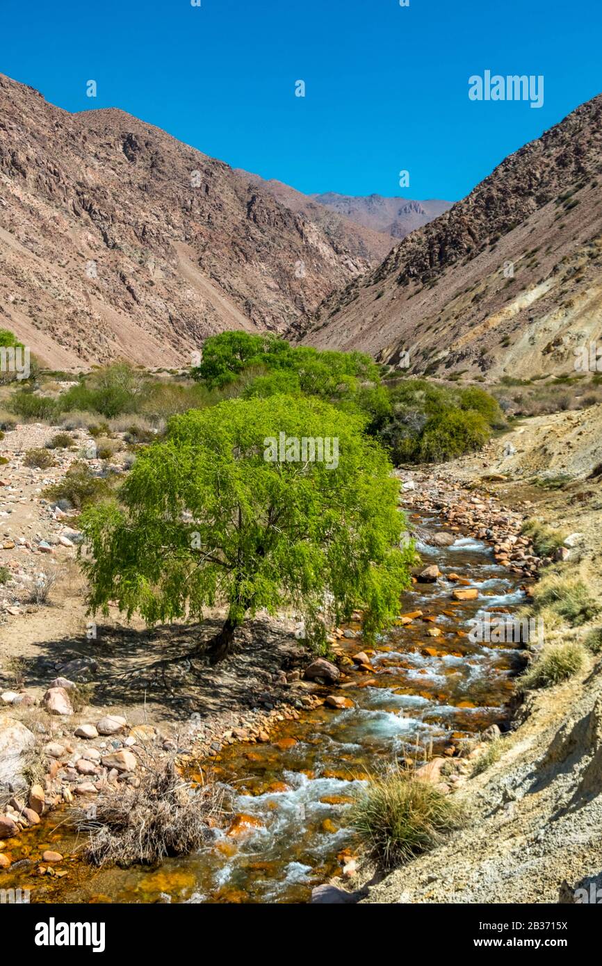 Argentina, provincia de San Juan, Calingasta, Valle de Calingasta Río Foto de stock