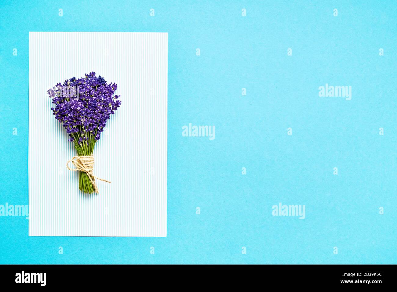Ramo de lavanda fresca sobre fondo azul brillante. Flores violetas. Tarjeta de felicitación floral con lugar para texto. Vista superior, espacio de copia. Foto de stock