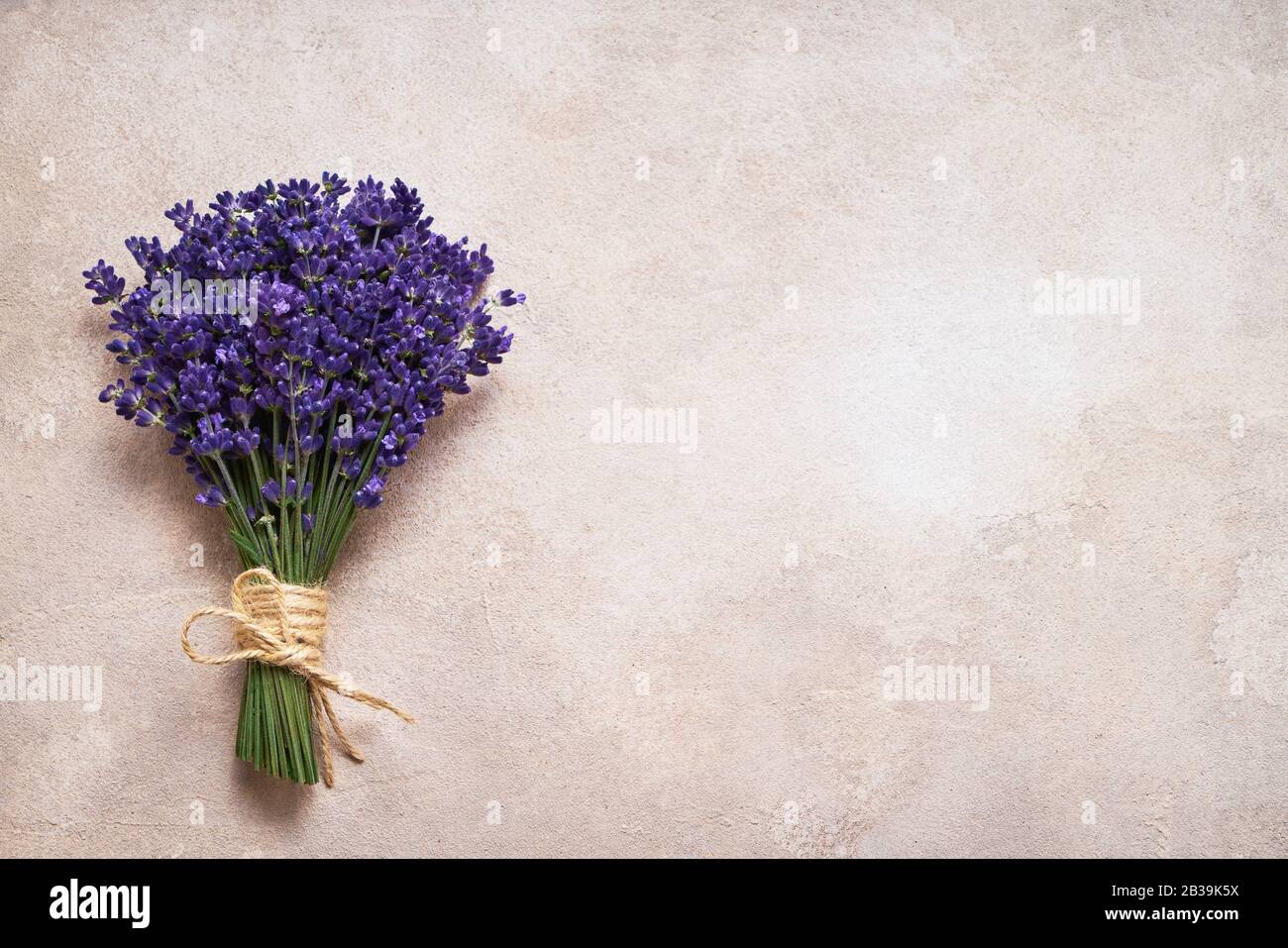 Ramo de flores de lavanda sobre fondo claro. Vista superior, espacio de copia para texto. Foto de stock