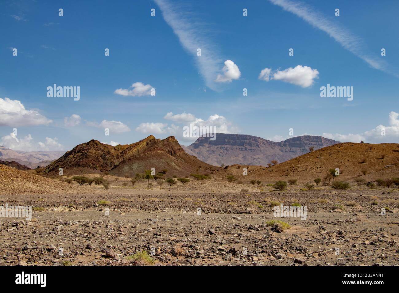 Al khalid fotografías e imágenes de alta resolución - Alamy