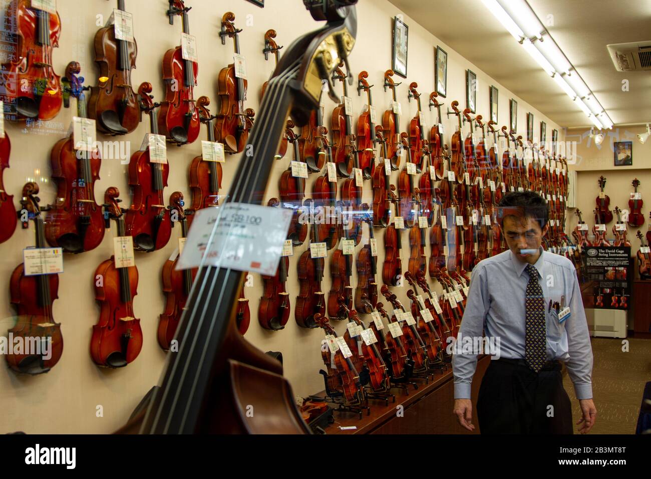 Violines en exhibición en una tienda de instrumentos musicales en Tokio,  Japón Fotografía de stock - Alamy