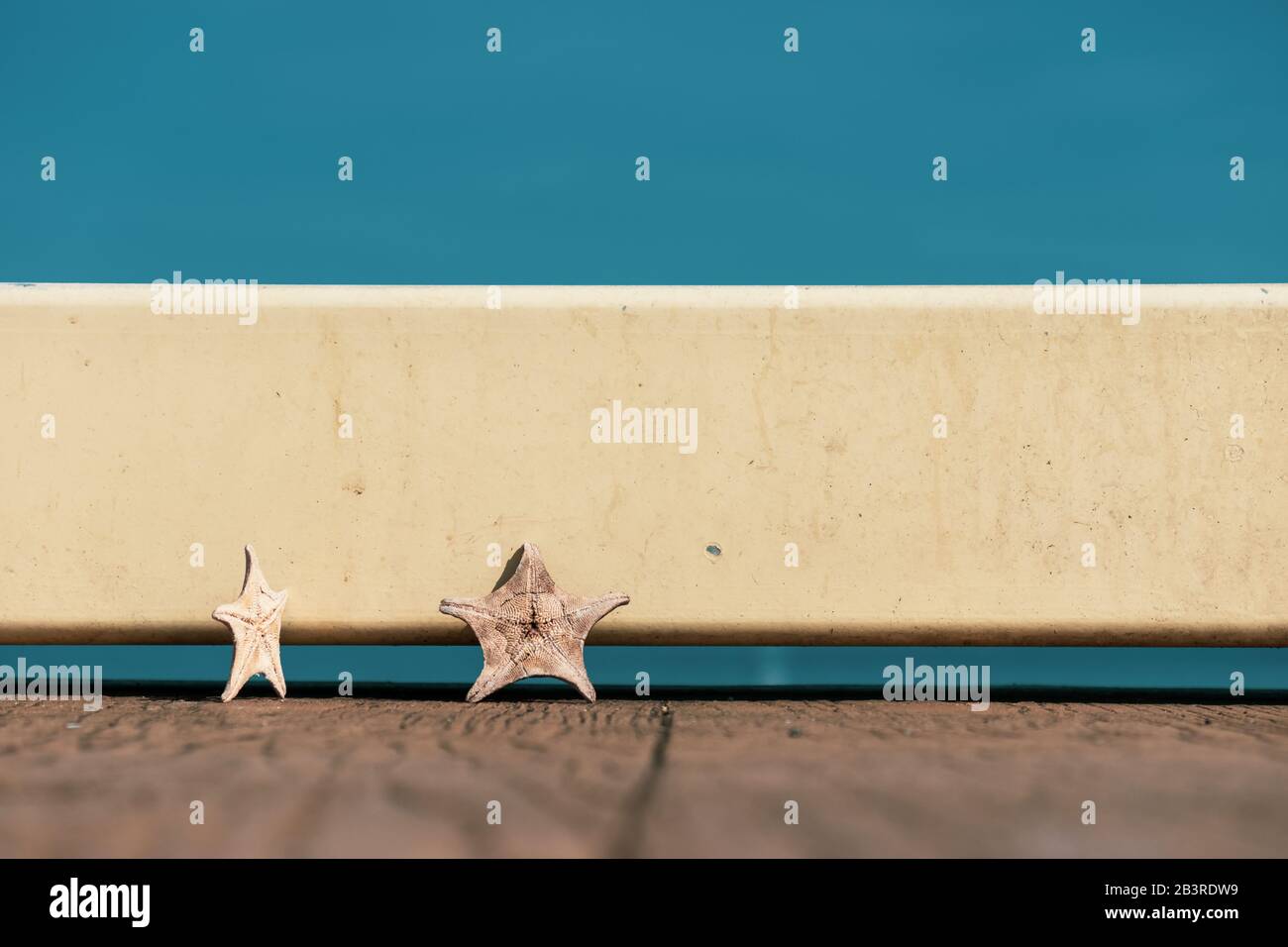 Una historia romántica de una pareja de estrellas de mar en Beppu Foto de stock