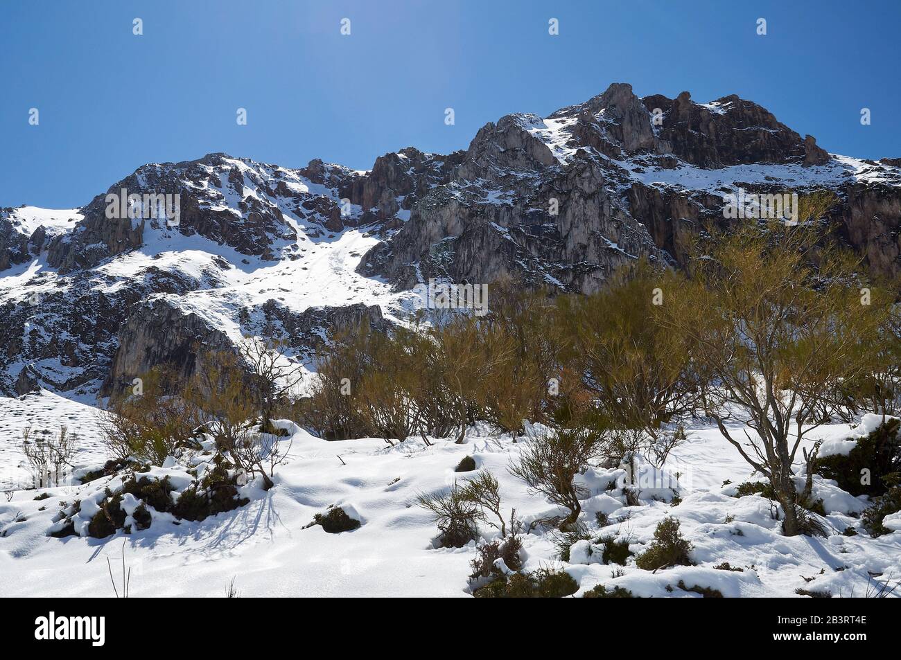 Paisaje nevado invernal con nieve prístina recién caída en un día soleado en PR.AS-15 sendero (Valle del Lago, Parque Natural de Somiedo, Asturias, España) Foto de stock