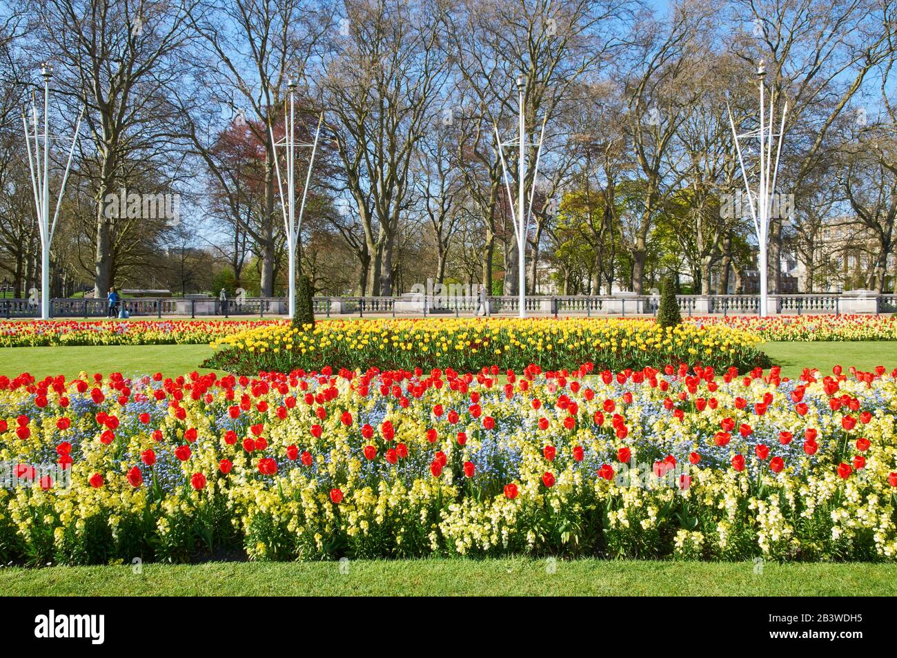 Flores con tulipanes cerca del Palacio de Buckingham, en el borde de Green Park, Londres, Reino Unido, a principios de la primavera Foto de stock