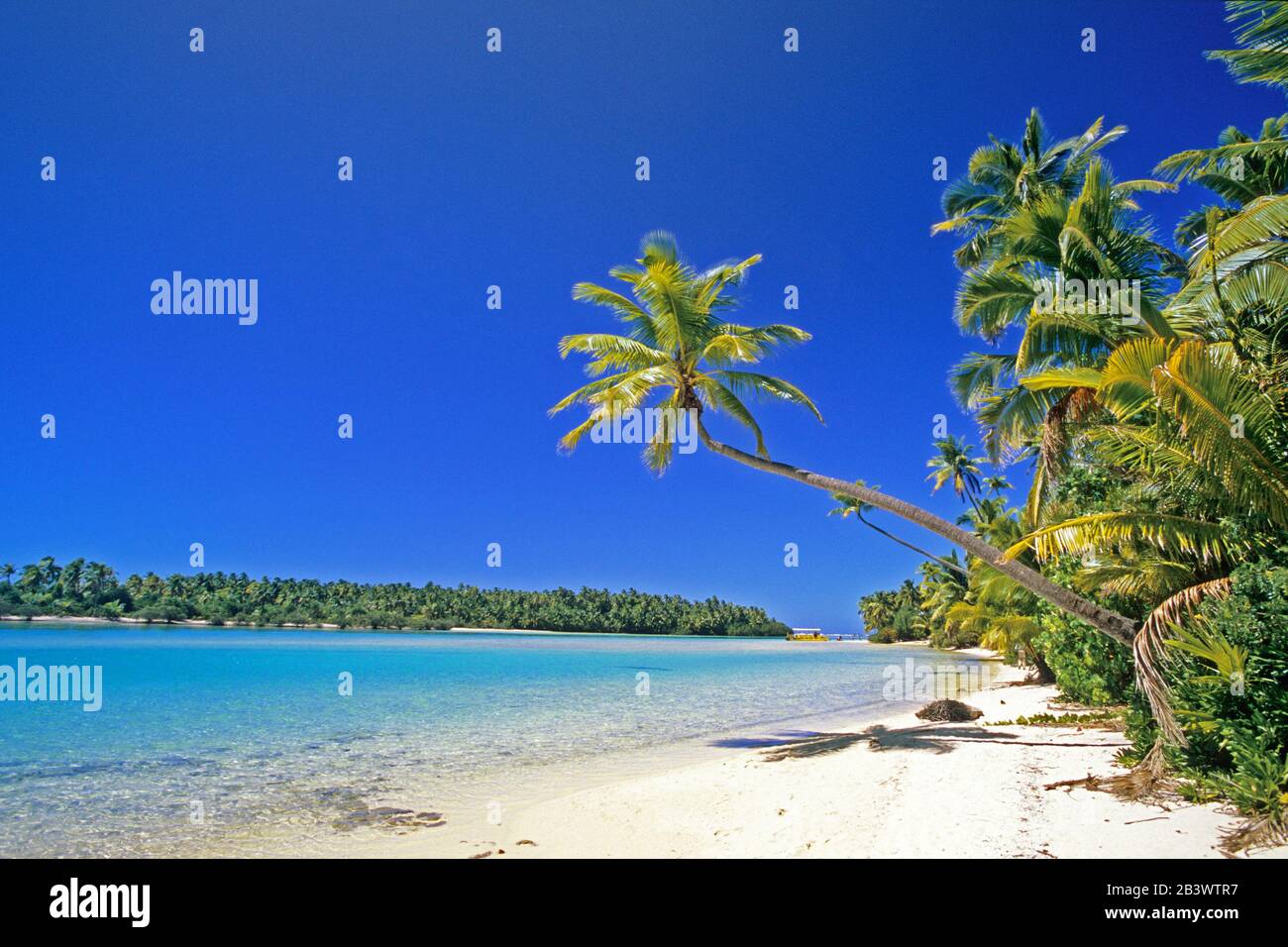 Islas Cook, Traumstrand, Palmenstruand, Aitutaki Foto de stock