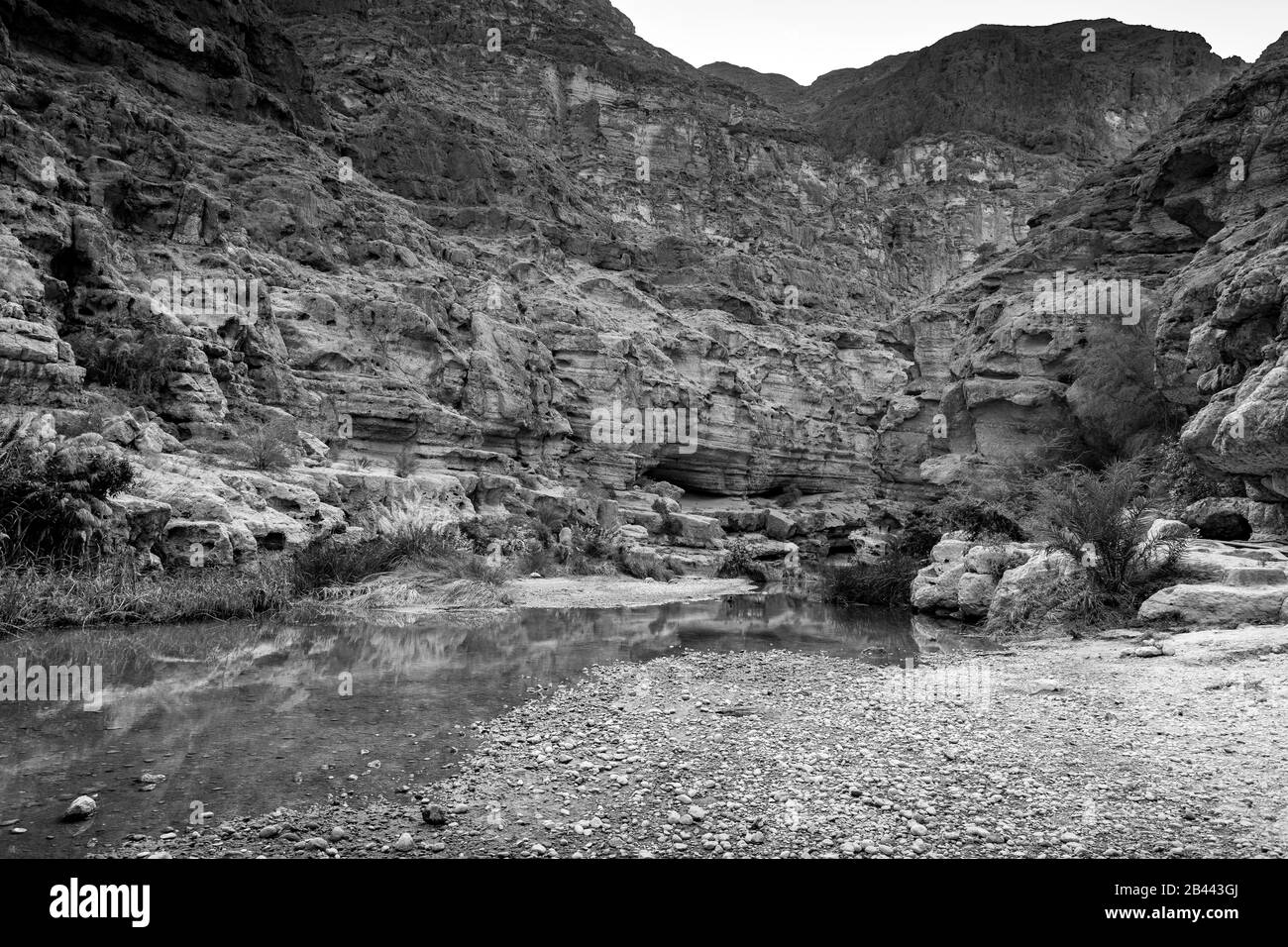 Blanco y negro del paisaje cañón del río Wadi Shab con acantilados rocosos y fuentes de agua verde - Sultanato de Omán Foto de stock