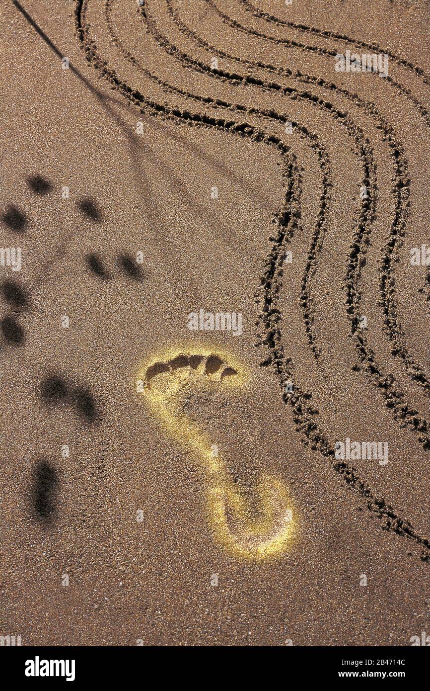 Huella en la arena en la playa Foto de stock