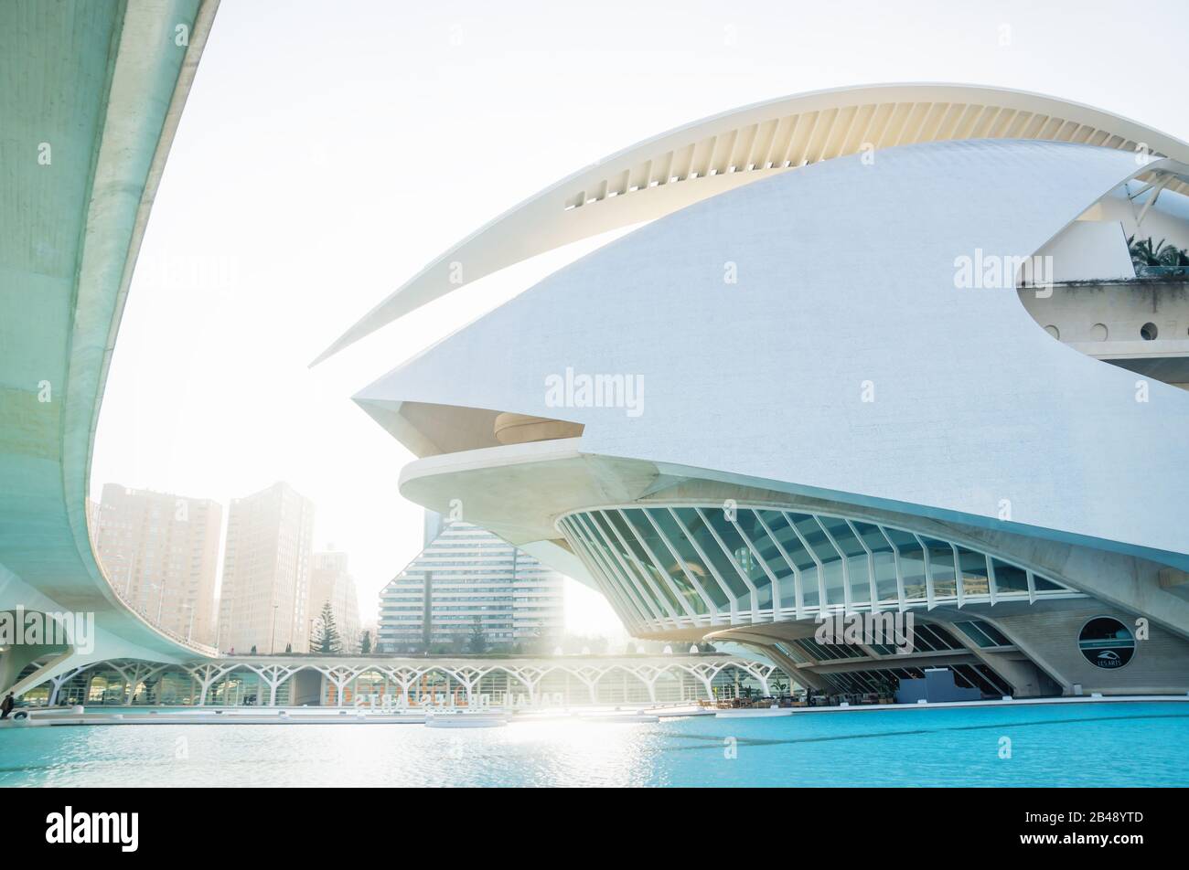 Valencia, España - 17 de febrero de 2020: Frente del Palau des Arts Reina Sofía en la Ciudad de las Artes y las Ciencias diseñado por los arquitectos Santiago Calatrava y. Foto de stock