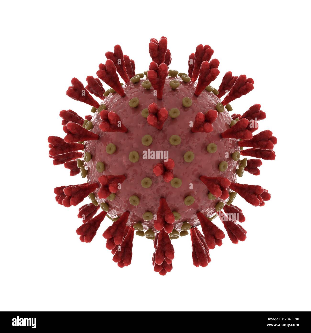 Síndrome respiratorio agudo severo coronavirus 2 que causa covid 19 en blanco Foto de stock