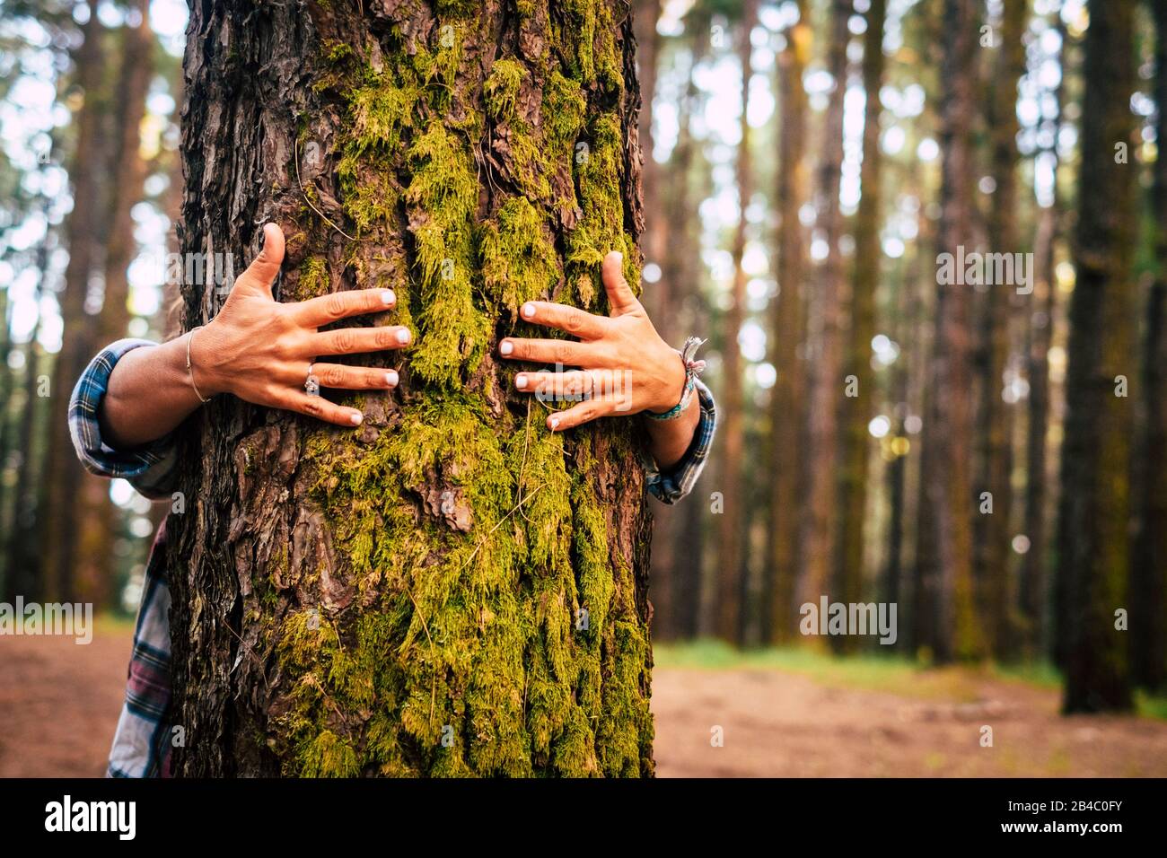 Ecología y concepto del medio ambiente con la gente caucásica mujer que huida un árbol verde en el bosque al aire libre - la naturaleza y el estilo de vida ecológico - cambiar el mundo - el día del mundo y la protección para la vida y el planeta Foto de stock