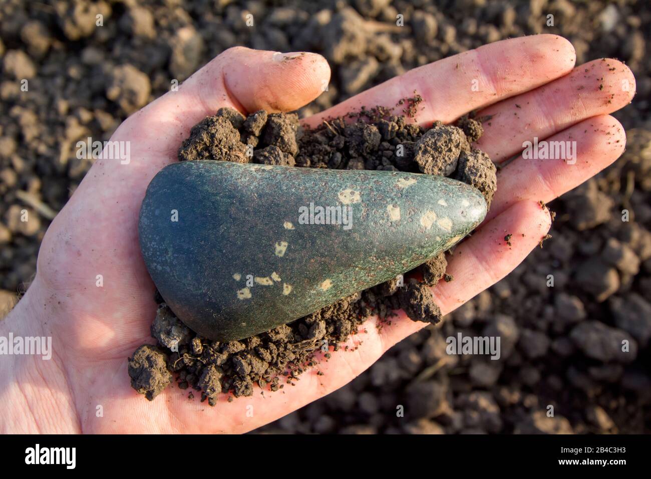 Hacha de piedra neolítica (eclogite y granate) Foto de stock