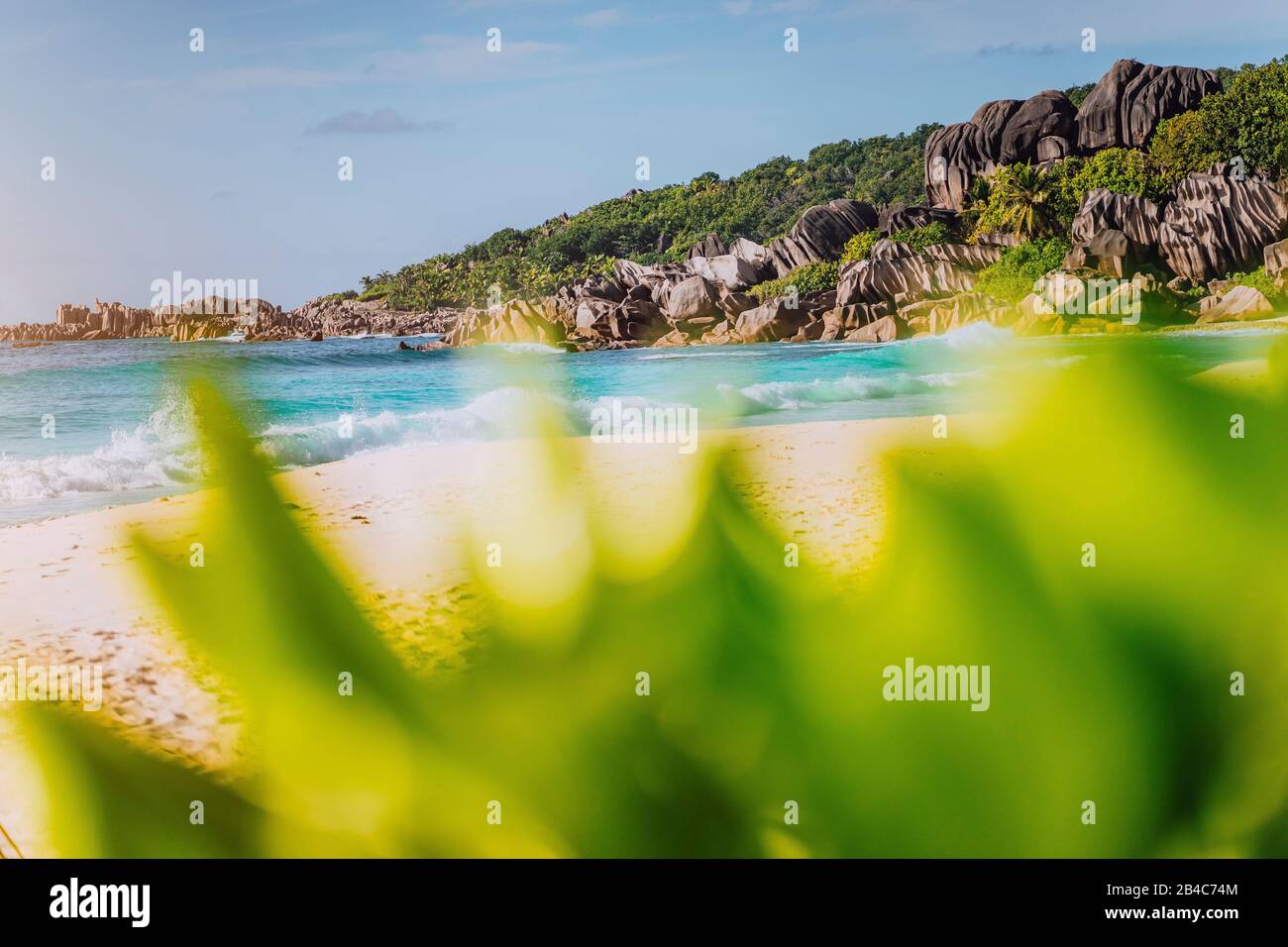 Grand Anse, Isla La Digue, Seychelles. Desenfocado vegetación verde en primer plano y hermosa playa de arena blanca paradisíaca con olas de color turquesa y formación única de rocas de granito en el fondo. Foto de stock