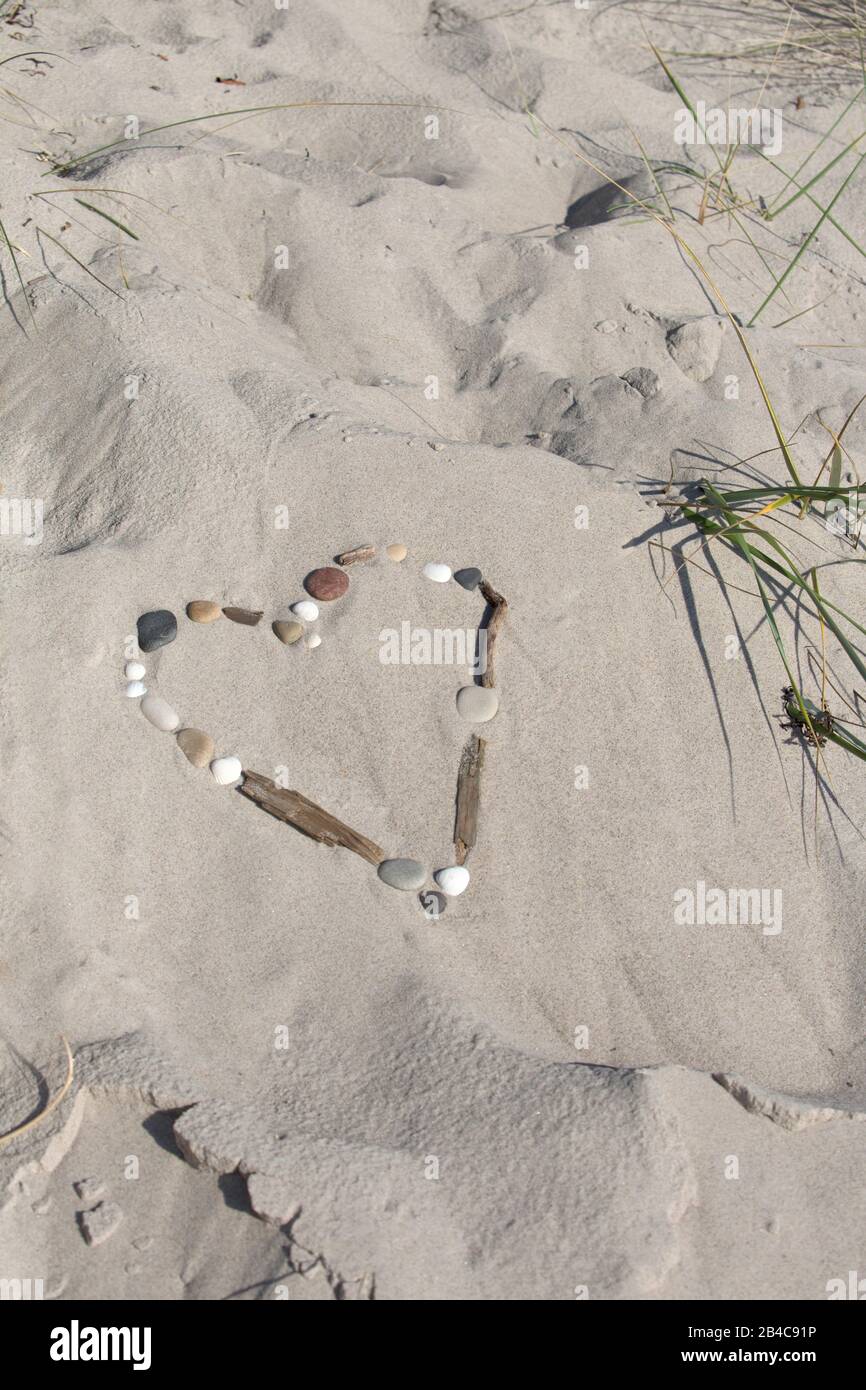 Corazón de conchas de mar y madera de deriva en la arena, perfecto para el concepto turístico, el amor y el tiempo de ocio en la playa Foto de stock