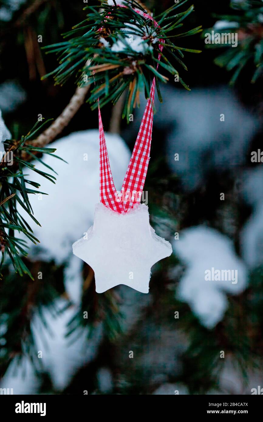 Pequeñas estrellas caseras de Navidad formadas de hielo colgando de una rama de abeto cubierta de nieve en una cinta de cuadros roja y blanca Foto de stock
