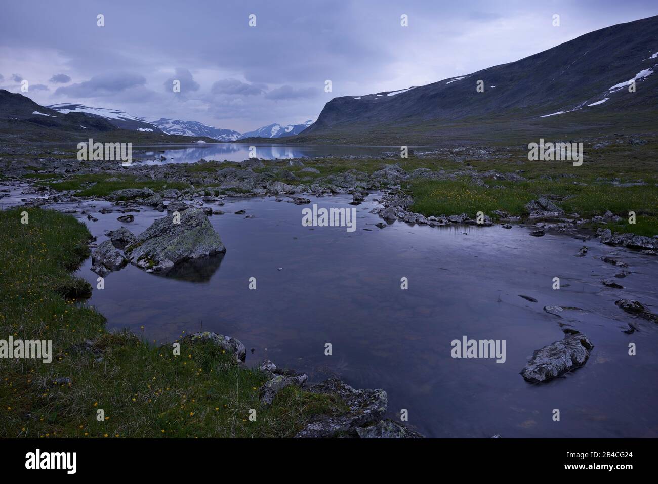 Sverige,Lappland Sarek nationalpark,Snávvvvvágge,summernightat pequeño arroyo Foto de stock