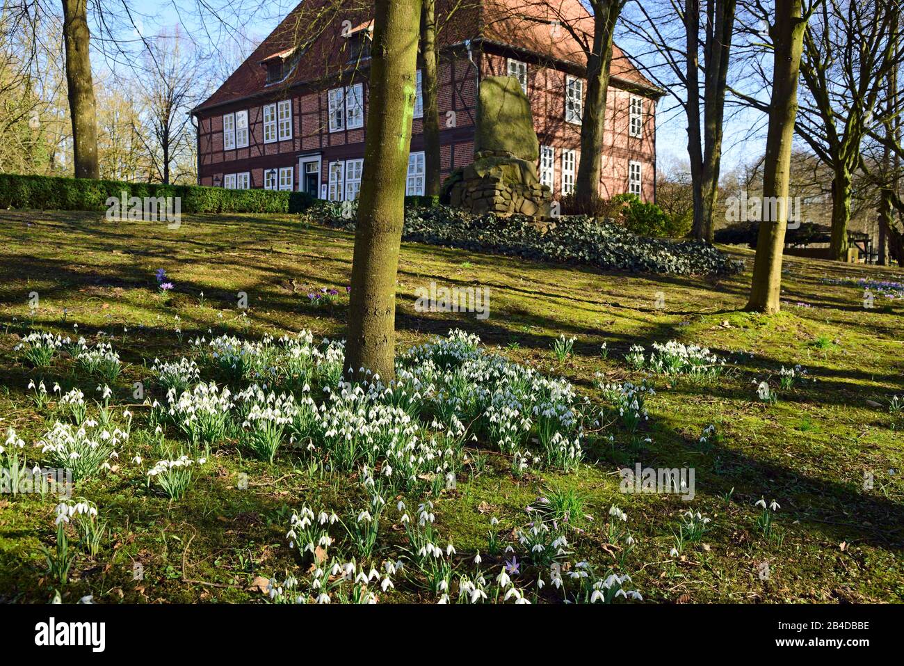 Europa, Alemania, Baja Sajonia, distrito de Harburg, Moisburg, región metropolitana de Hamburgo, Amtshaus an der este, primavera, prado con gotas de nieve, Foto de stock