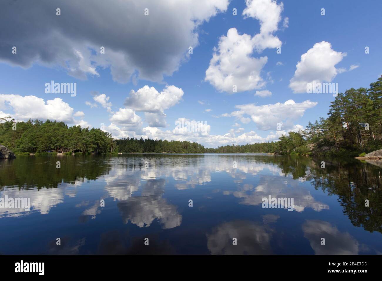 Característico lago escandinavo, rodeado de pinos, Suecia, Parque Nacional de Tiresta Foto de stock