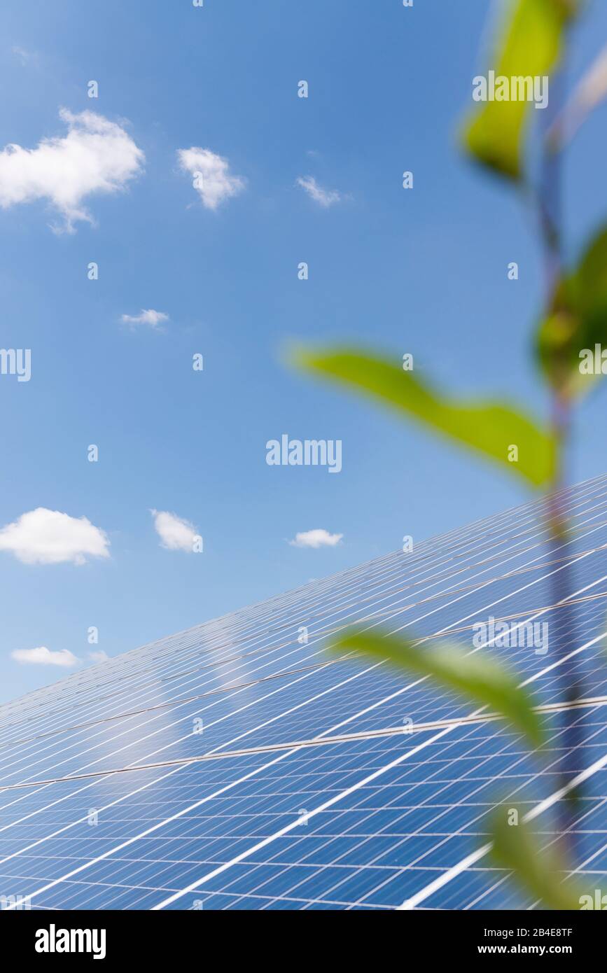 Solaranlage unter blauem Himmel mit grüner Pflanze Foto de stock