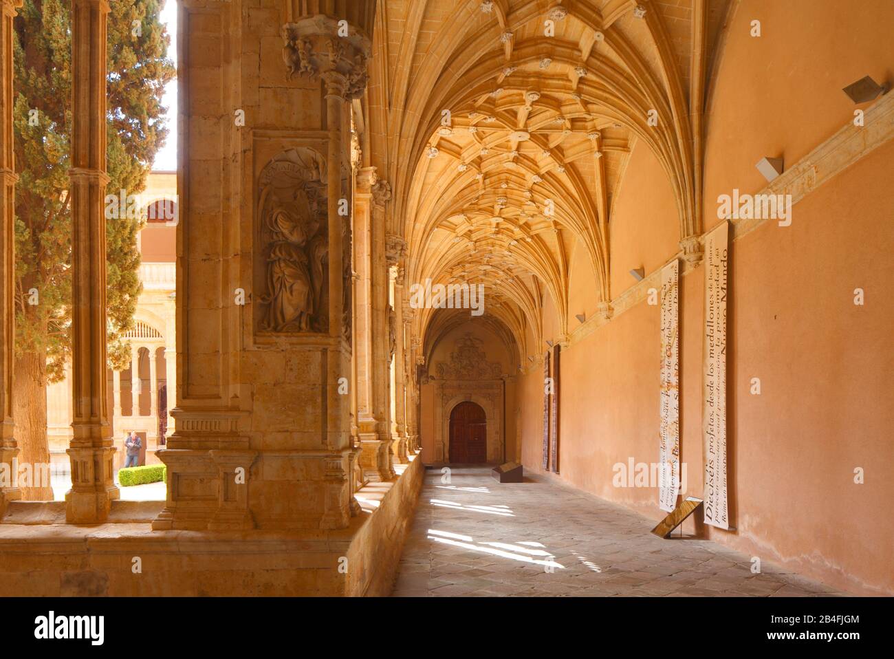 Claustro, Iglesia y convento de San Esteban, Convento de San Esteban, Salamanca, Castilla y León, España, Europa Foto de stock