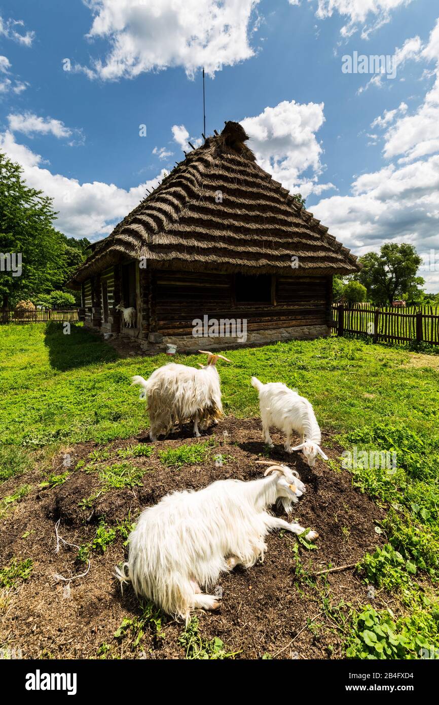 Europa, Polonia, Podkarpackie Voivodeship, El Museo De Arquitectura Rural De Sanok Foto de stock