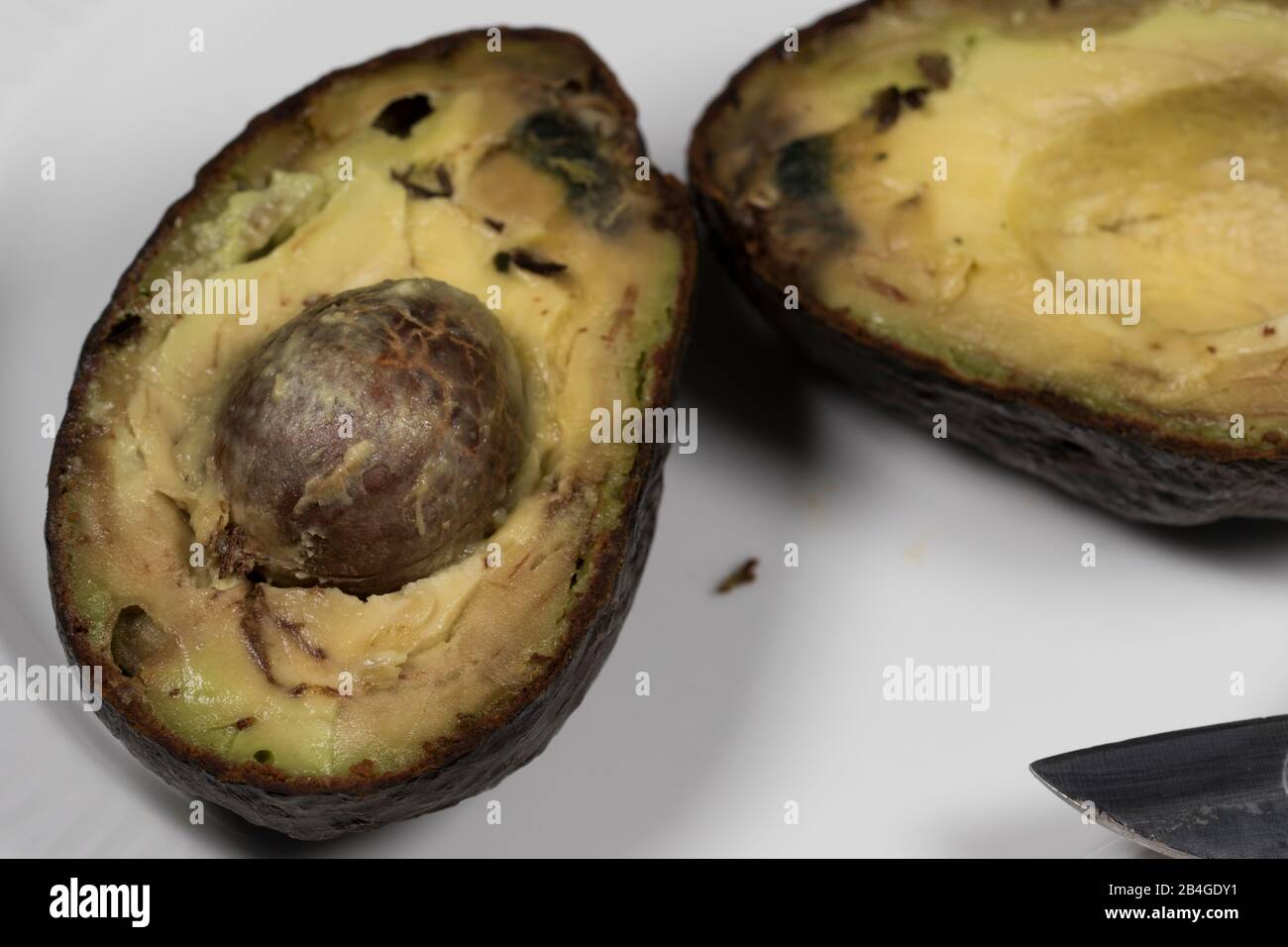 El aguacate cierra los alimentos podridos y estropeados. Corte el