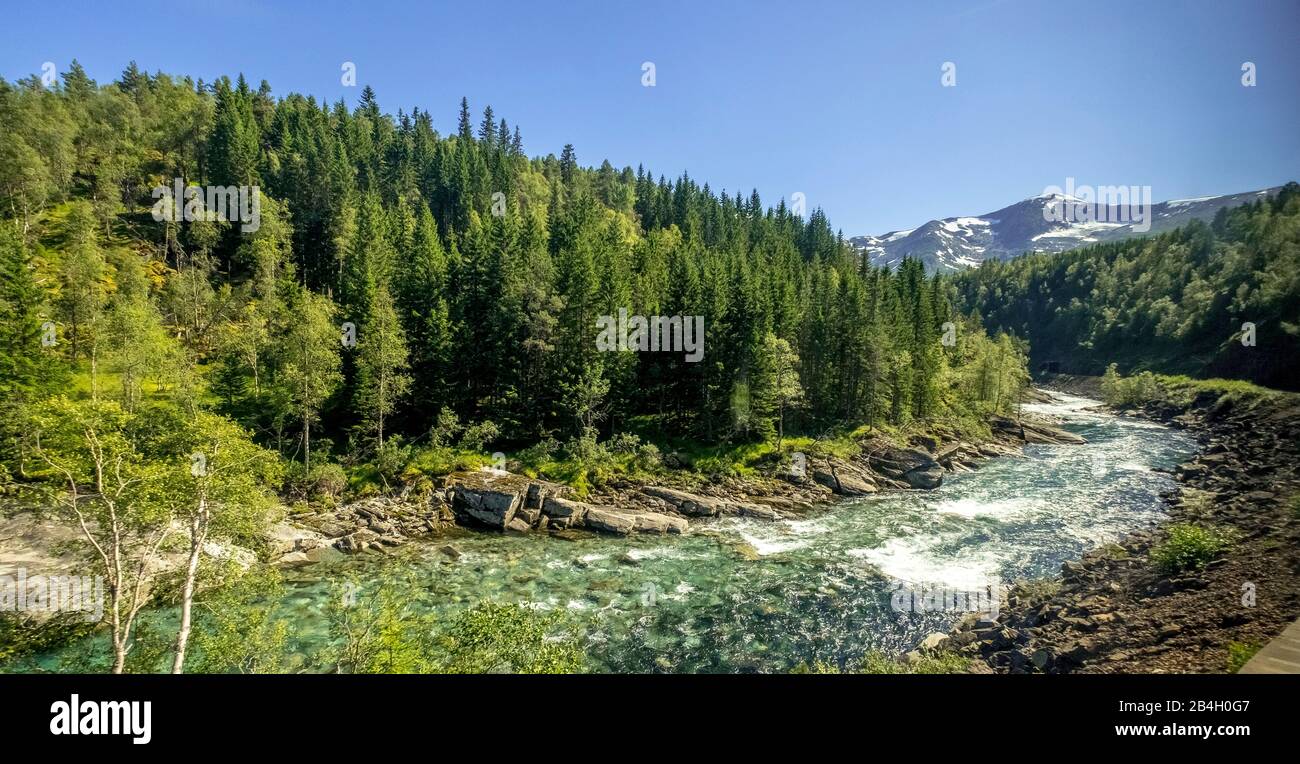 Río en las montañas, bosque, piedras, cielo, Vossestrand, Hordaland, Noruega, Escandinavia, Europa Foto de stock