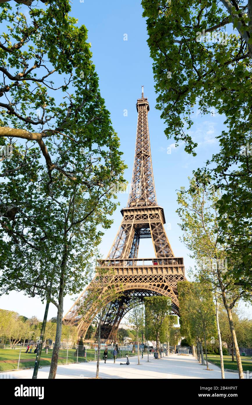 Blick durch Laubbäume im Champ du Mars auf den Eiffelturm, París, Frankreich, Europa Foto de stock