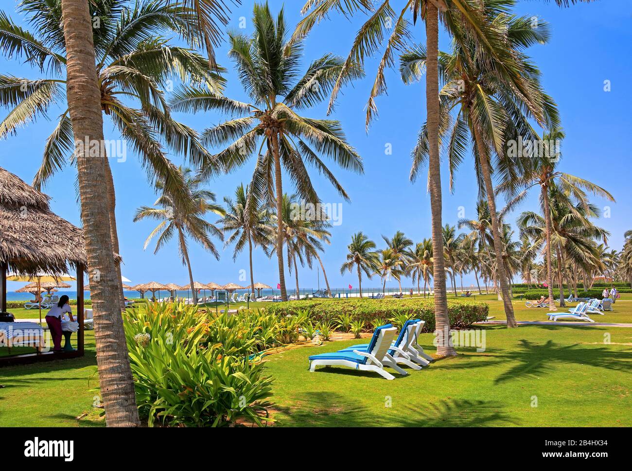 Jardín con tumbonas en el complejo del hotel Crowne Plaza, Salalah, Mar Arábigo, Omán Foto de stock