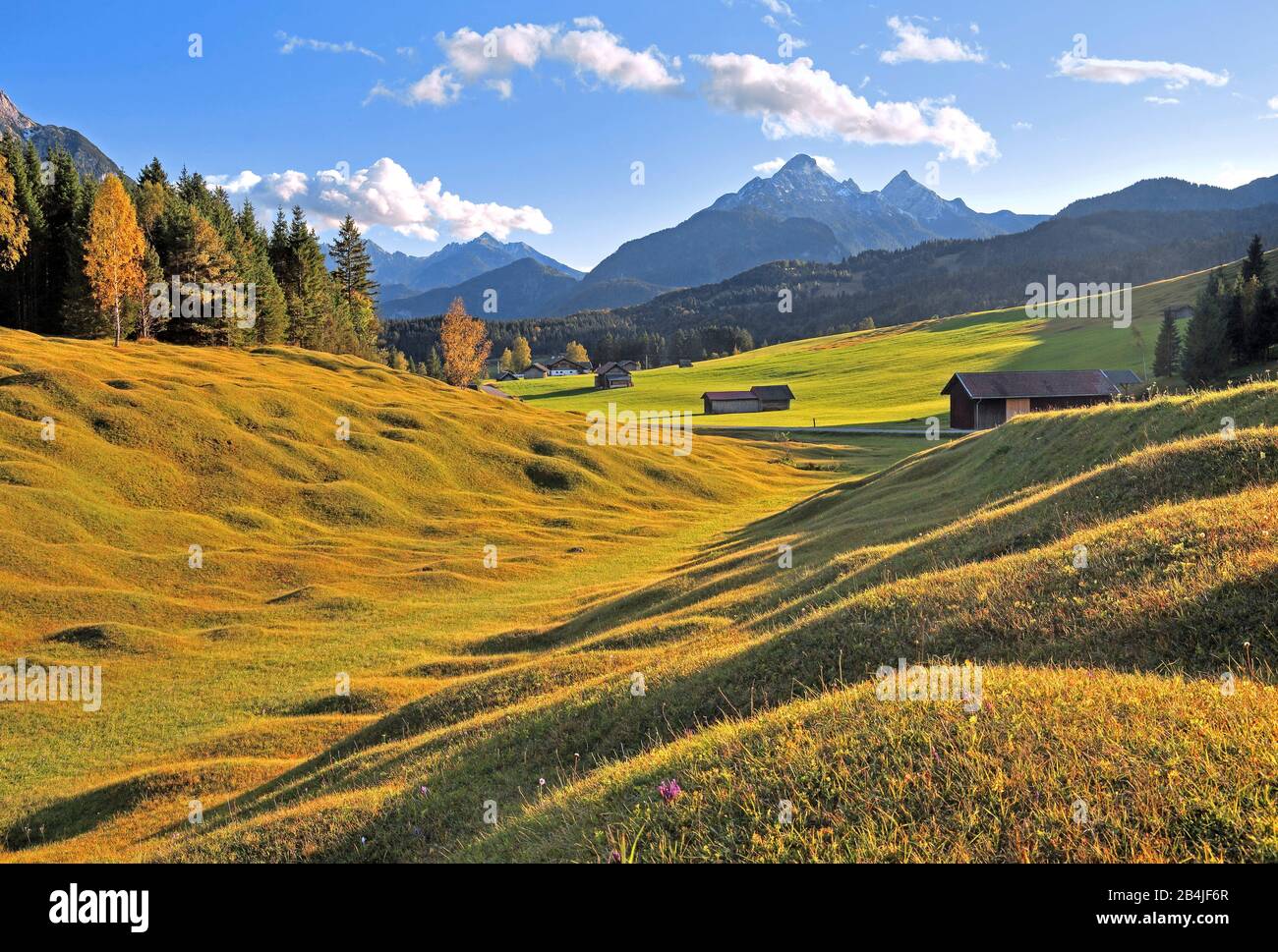 Paisaje otoñal de Buckelwiesen en Krün, Werdenfelser Land, Alta Baviera, Baviera, Alemania Foto de stock