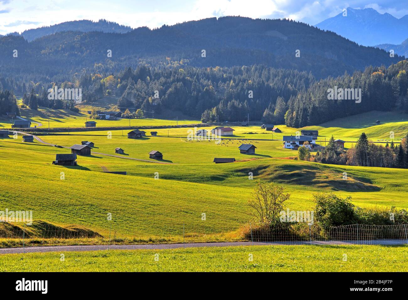 Paisaje otoñal de Buckelwiesen en Krün, Werdenfelser Land, Alta Baviera, Baviera, Alemania Foto de stock