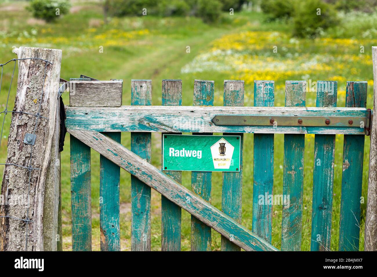 Ostsee, Rügen, Halbinsel Wittow, Küstenweg, Weide, Tor, Radweg, Naturschutzgebiet Foto de stock