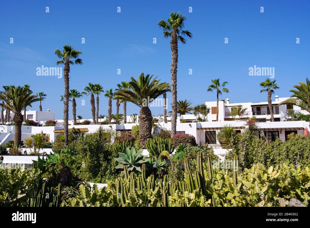 Resort Club Puerto Chico Con Palmeras, Playa Blanca, Lanzarote, Islas  Canarias, España Fotografía de stock - Alamy