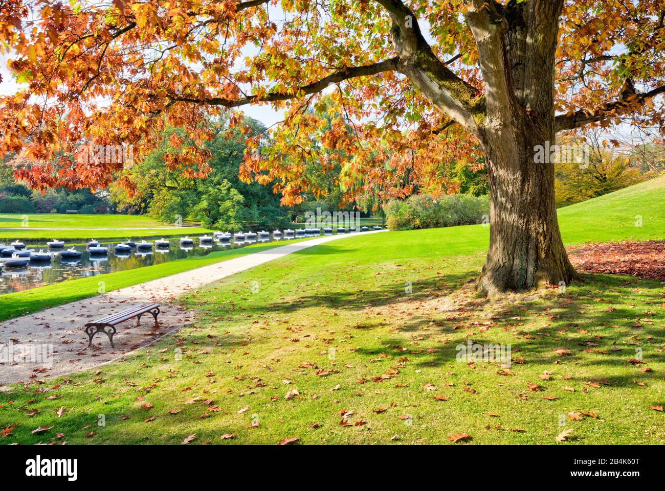 Foso, castillo, agua, reflexión, otoño, Celle, Baja Sajonia, Alemania, Europa Foto de stock