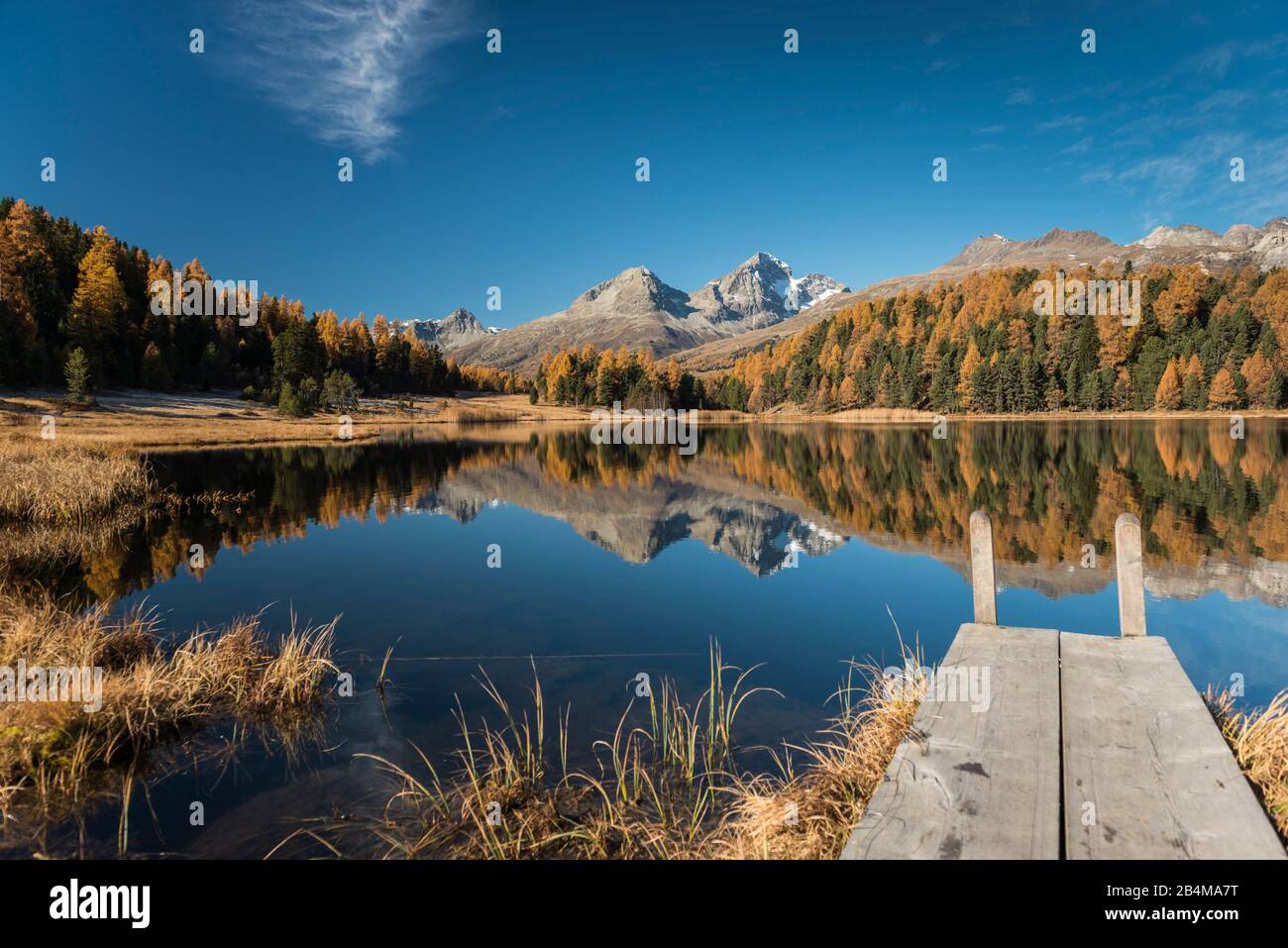 Schweiz, Graubünden, Engadin, Oberengadin, St. Moritz, Steg Und Herbstwald Am Stezer See Mit Piz Julier Und Piz Nair Foto de stock